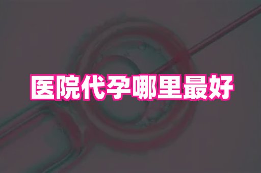 武汉助孕网 4